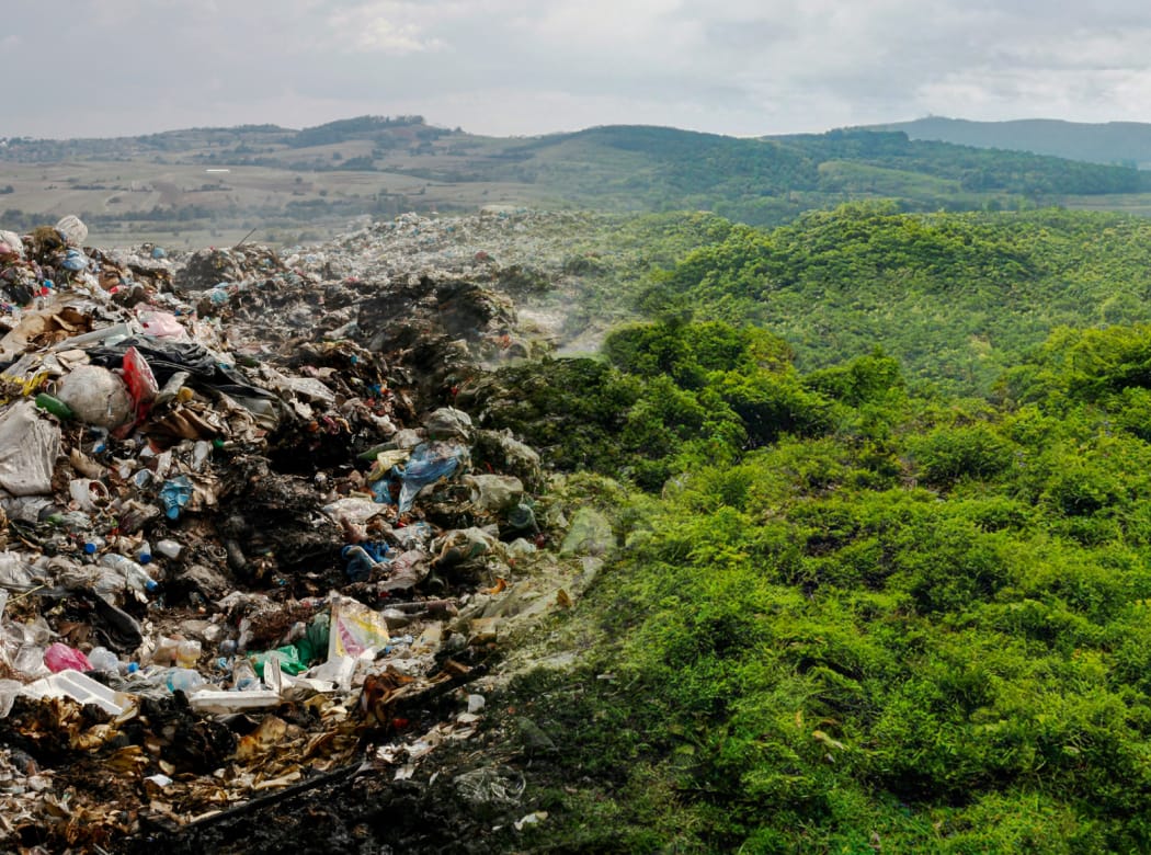 Our New Administration Must Not Undo the Foundations of Common-sense Environmentalism